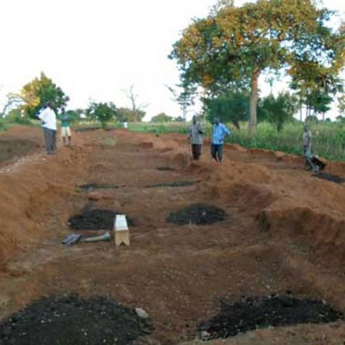 Agribusiness Initiative Helps Impoverished Communities in Uganda